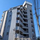 パレドール牧