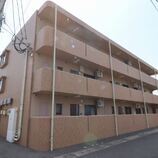 ユーミーなでしこ