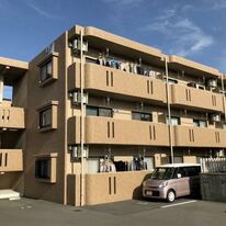 ユーミーなでしこ