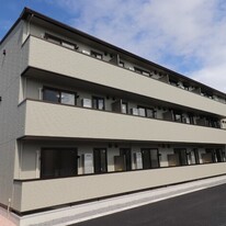 マッセル大在