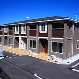 サニーブロッサム