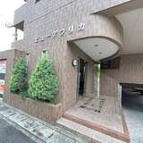 ビューアフリカ